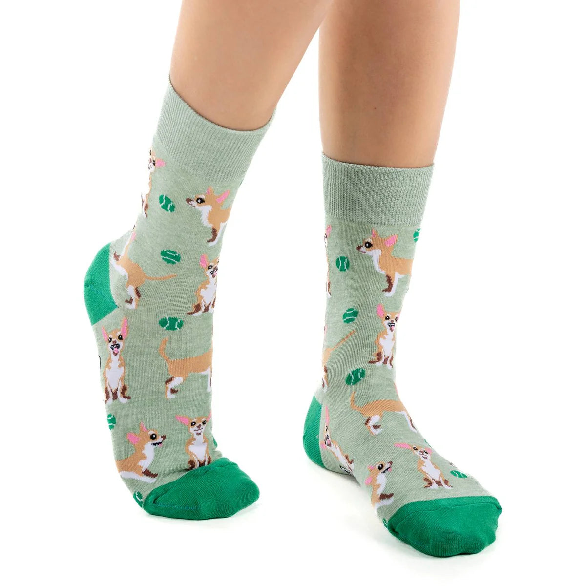 Chihuahua Dog Socks - Women's 5-9